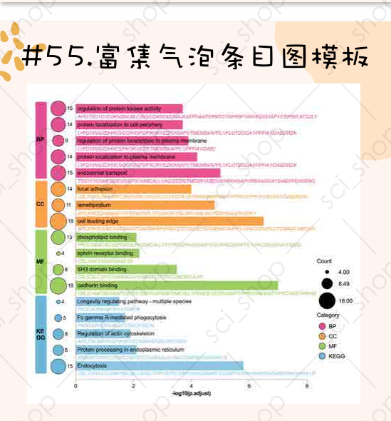 富集气泡条目图模板预览