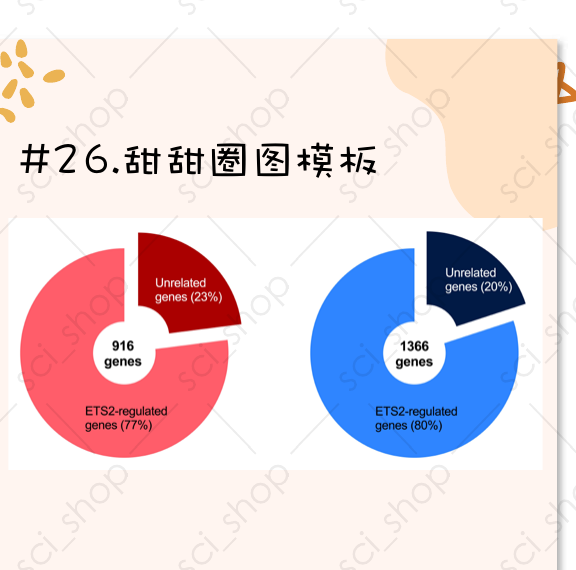 饼图模板预览